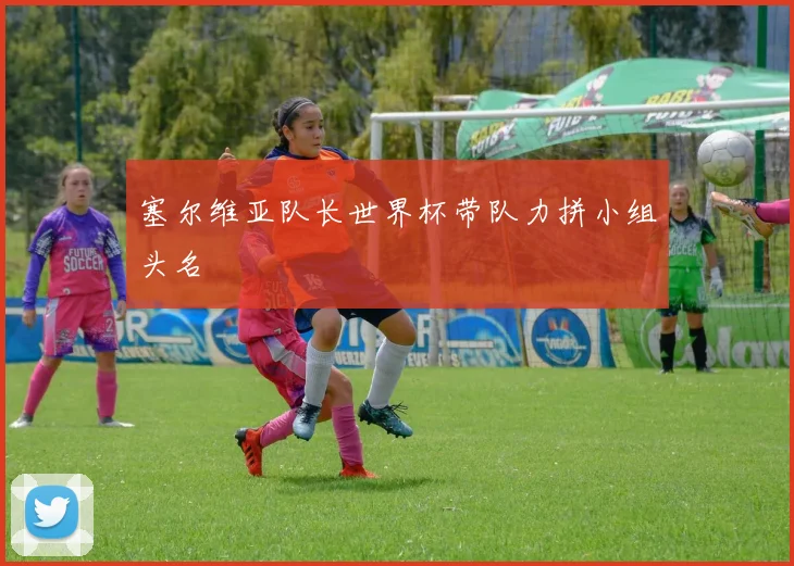 塞尔维亚队长世界杯带队力拼小组头名