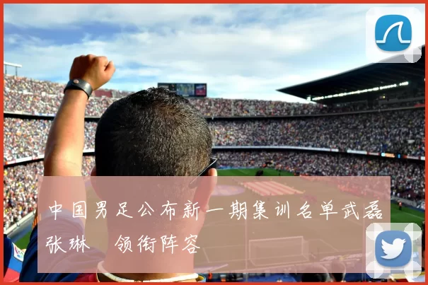 中国男足公布新一期集训名单武磊张琳芃领衔阵容
