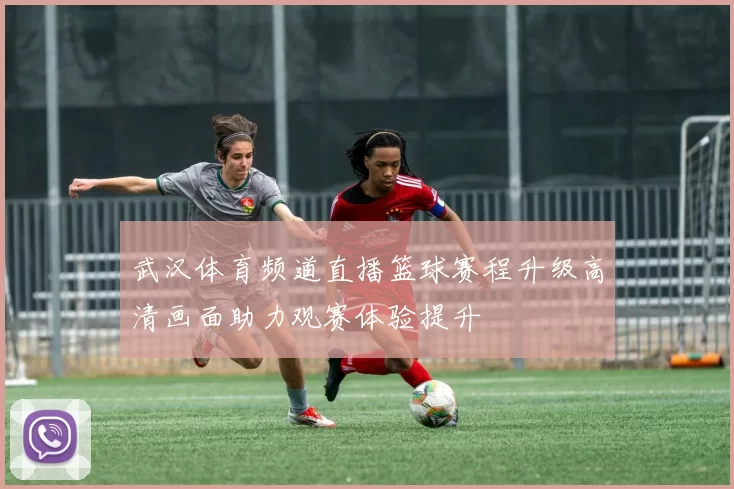 武汉体育频道直播篮球赛程升级高清画面助力观赛体验提升