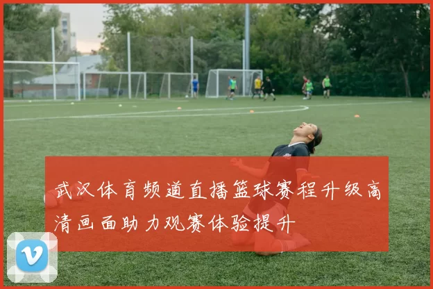 武汉体育频道直播篮球赛程升级高清画面助力观赛体验提升